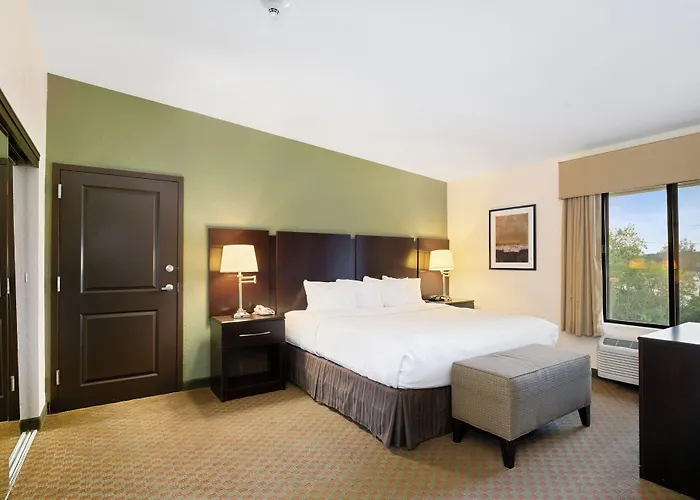 Hotel &